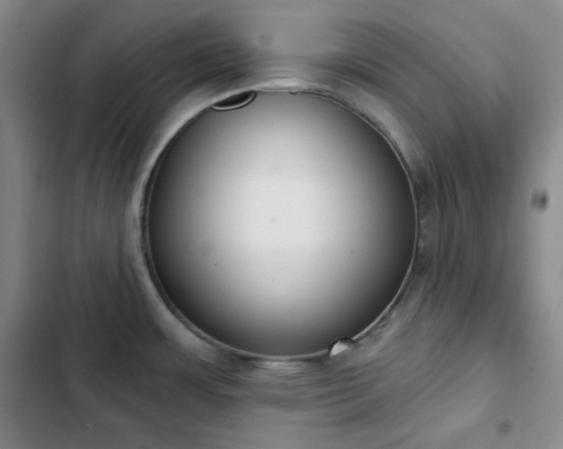 X0000102851483200808251150