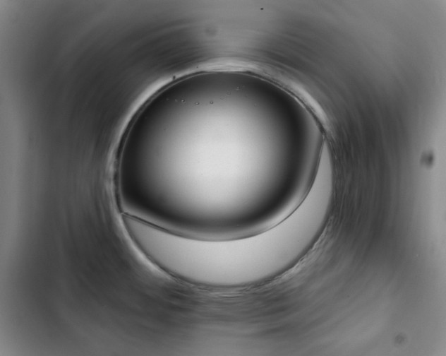 X0000102851484200808251150