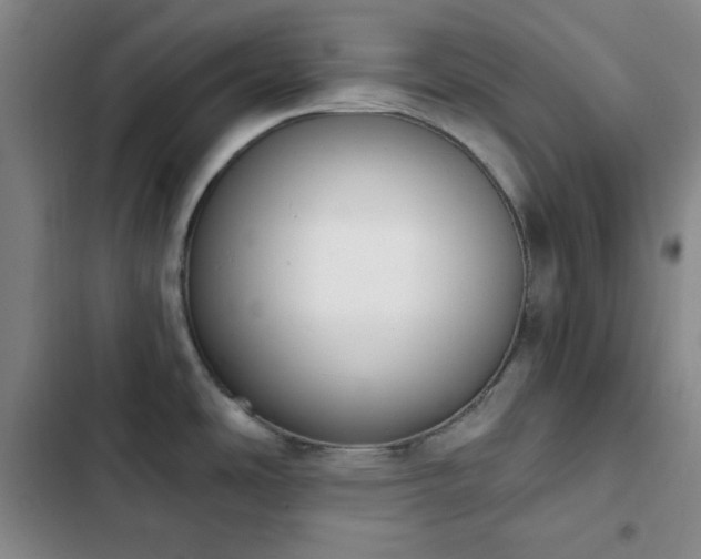 X0000102851486200808251150