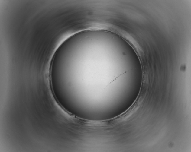 X0000102851487200808251150