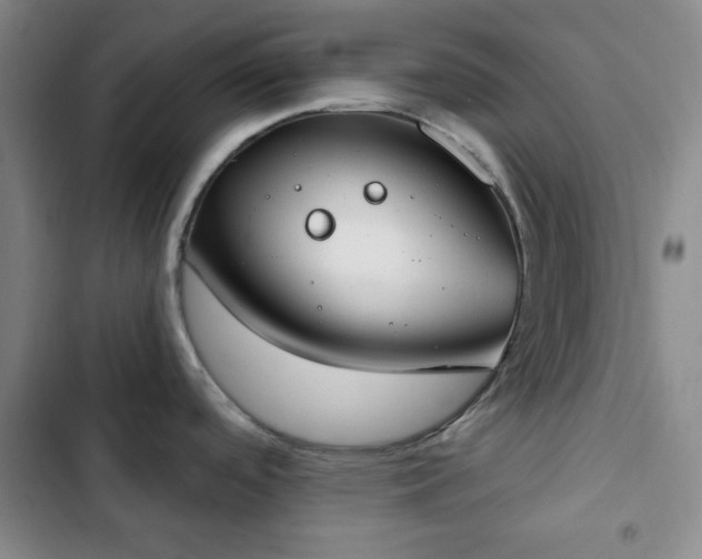 X0000102851488200808251150