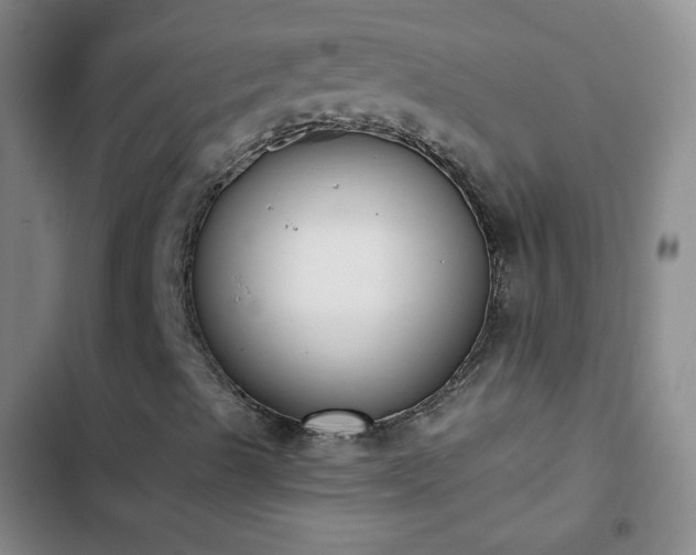 X0000102851489200808251149