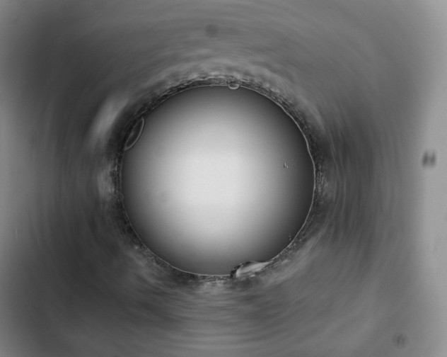 X0000102851490200808251149