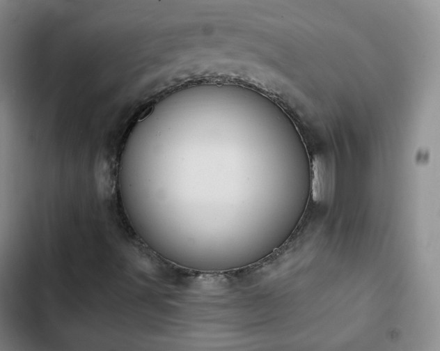 X0000102851491200808251149