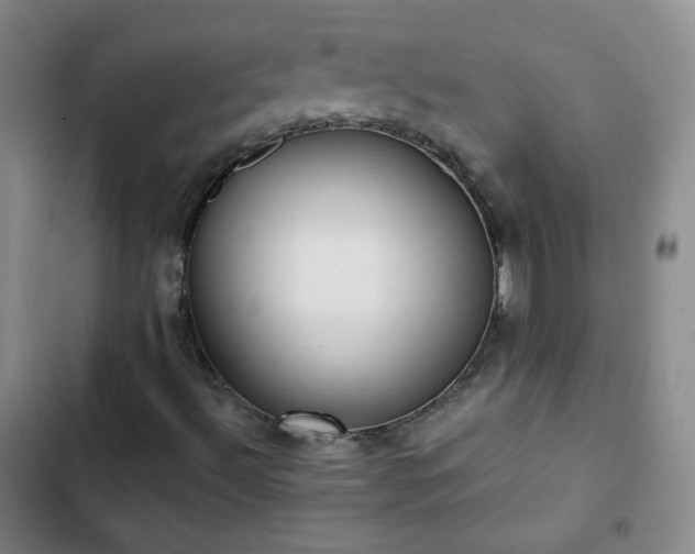 X0000102851492200808251149