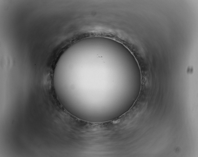 X0000102851493200808251149