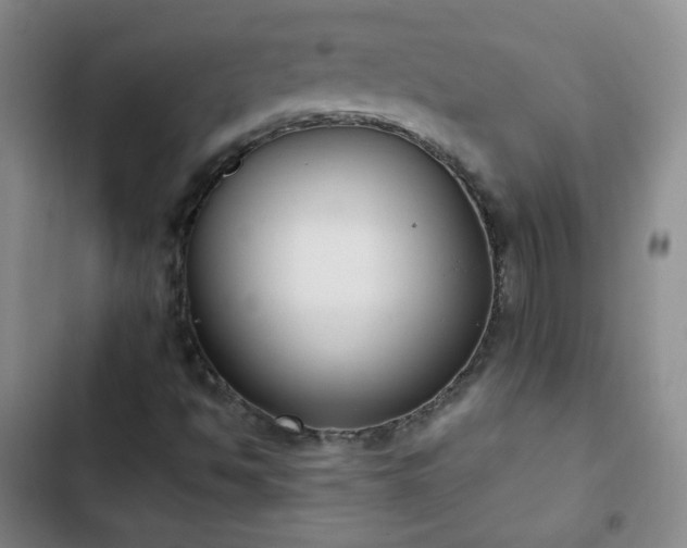 X0000102851494200808251149