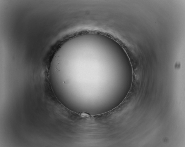 X0000102851495200808251149