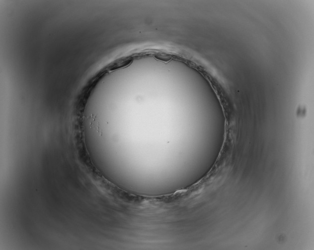 X0000102851496200808251149