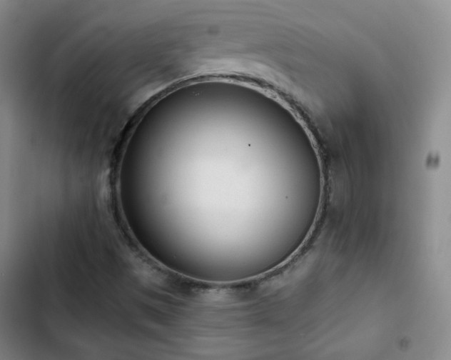X0000102851497200808251149