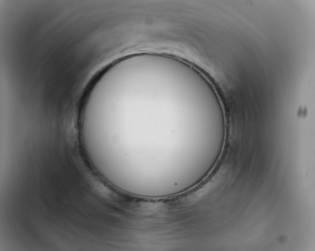 X0000102851498200808251149