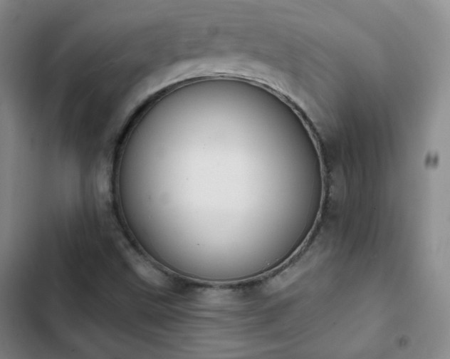 X0000102851499200808251149