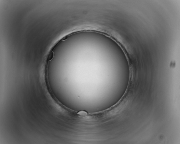 X0000102851500200808251149