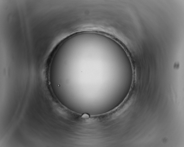 X0000102851501200808251149