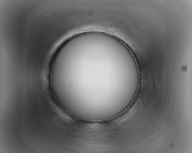 X0000102851502200808251149