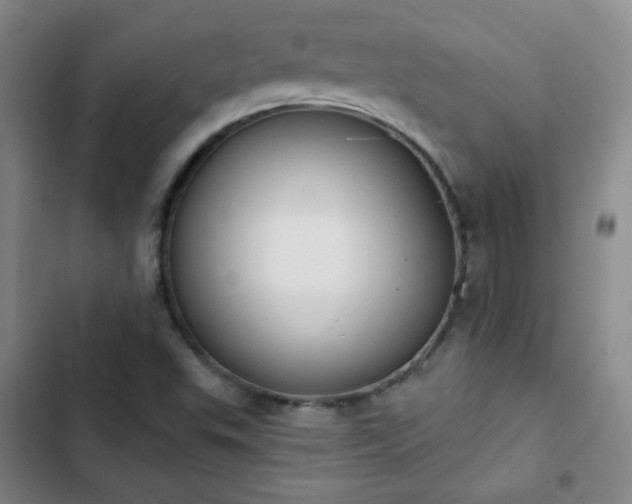 X0000102851503200808251149