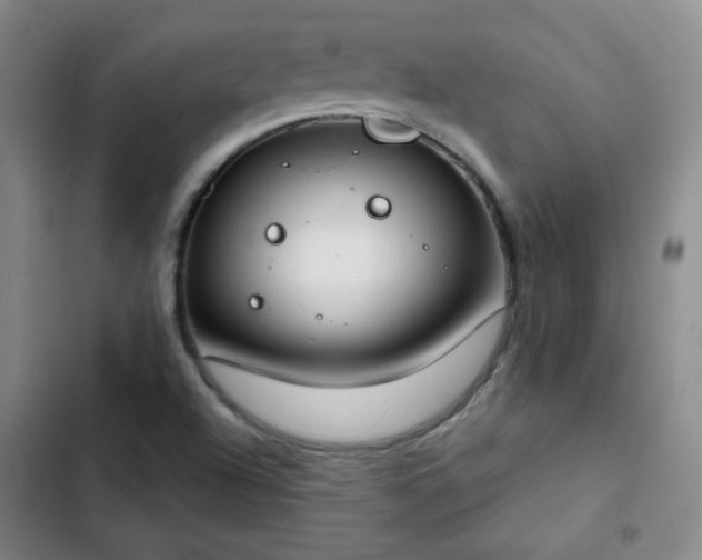 X0000102851504200808251149