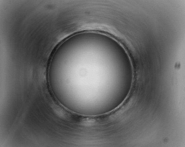 X0000102851505200808251149