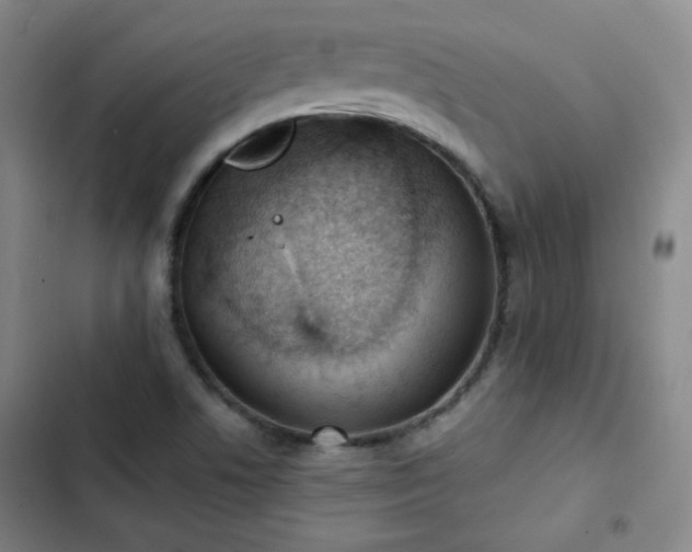 X0000102851506200808251149