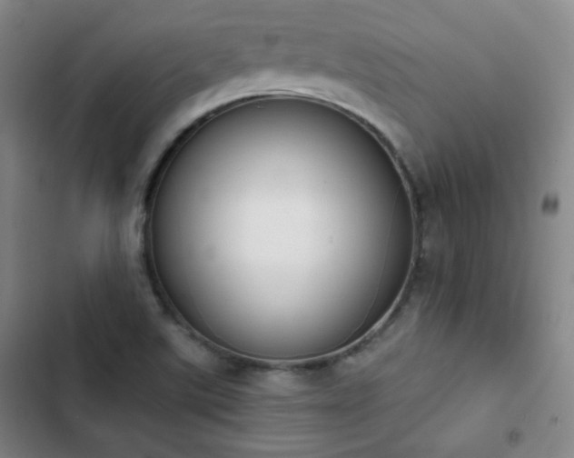 X0000102851507200808251149
