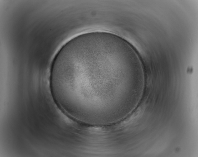 X0000102851508200808251149