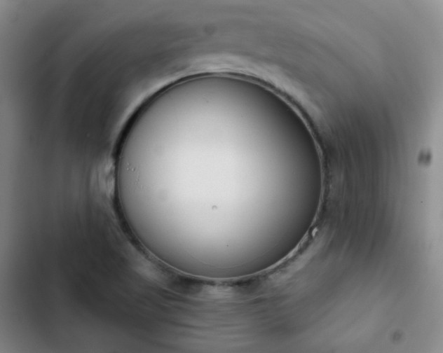 X0000102851509200808251149