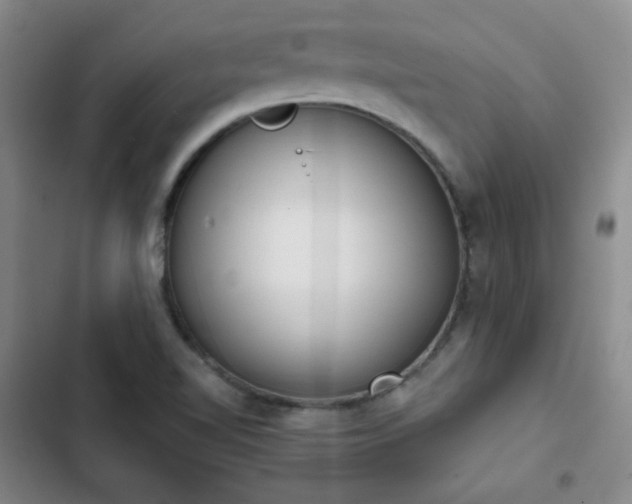 X0000102851510200808251149