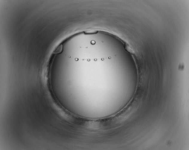 X0000102851511200808251149