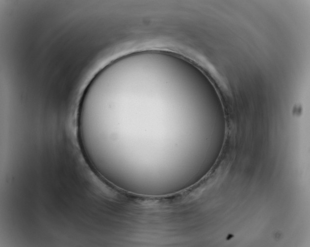 X0000102851512200808251149