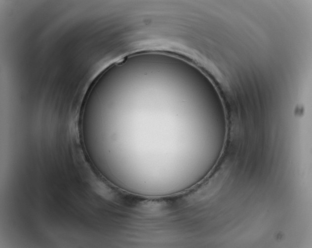 X0000102851513200808251149