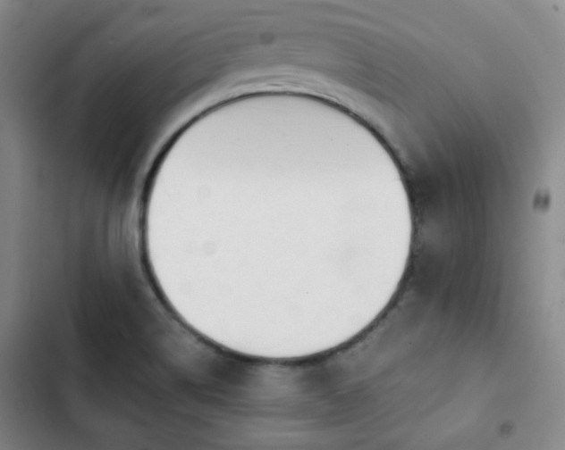 X0000102851514200808251149
