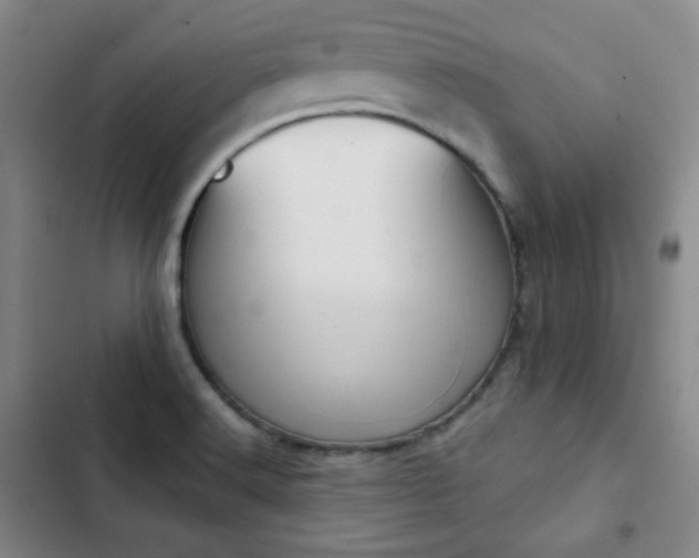 X0000102851516200808251150