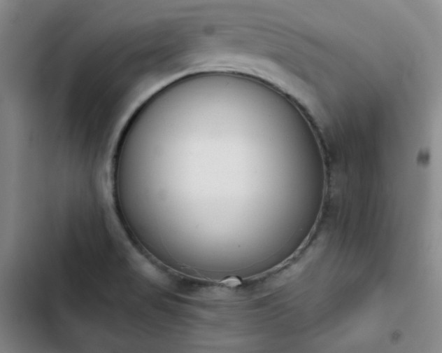 X0000102851517200808251150