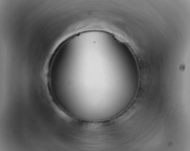 X0000102851519200808251150