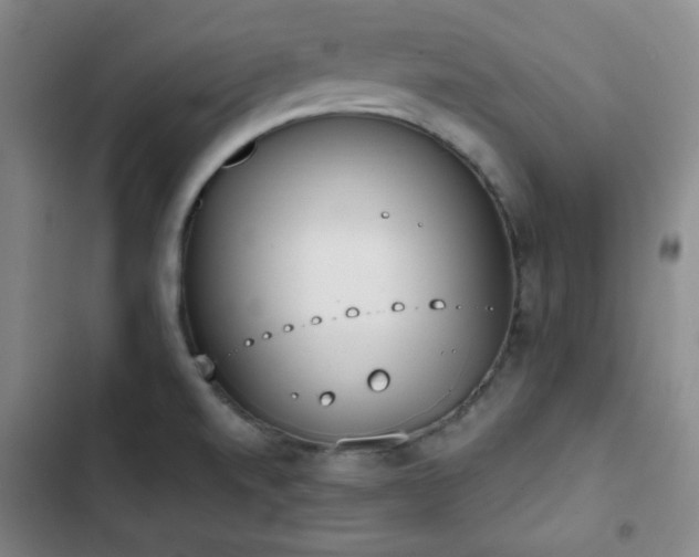 X0000102851520200808251150