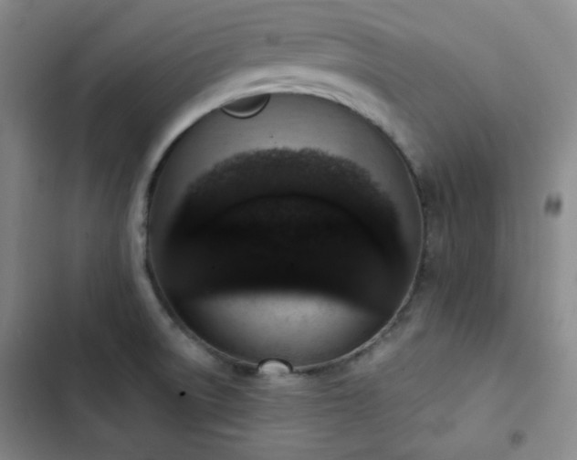X0000102851522200808251150