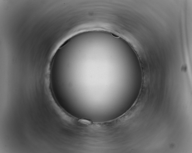 X0000102851524200808251150