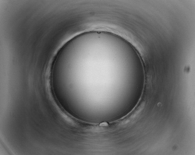 X0000102851525200808251150