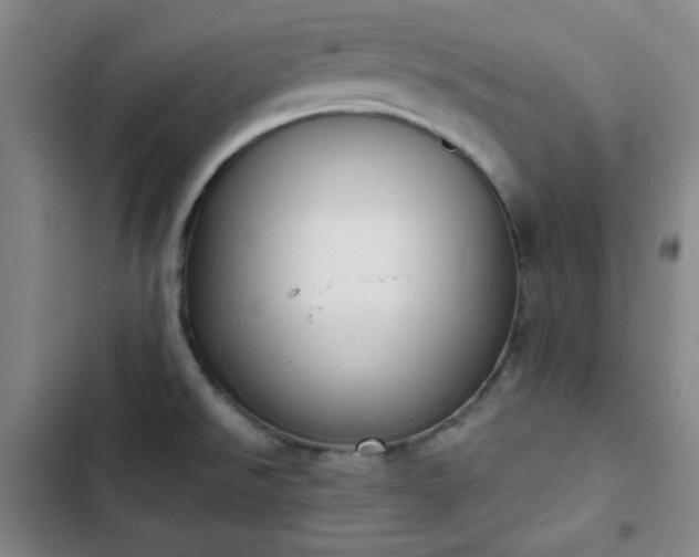 X0000102851526200808251150