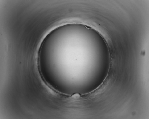 X0000102851527200808251150