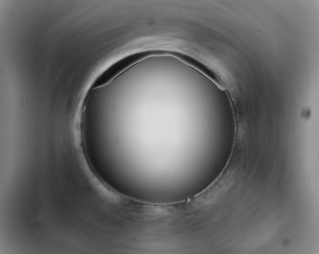 X0000102851528200808251150