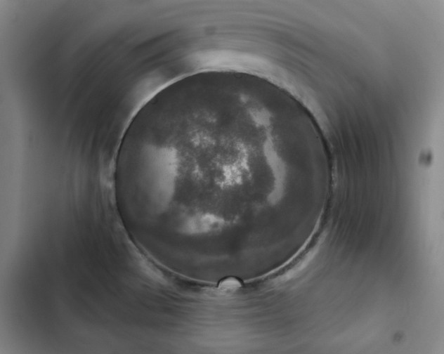 X0000102851529200808251150