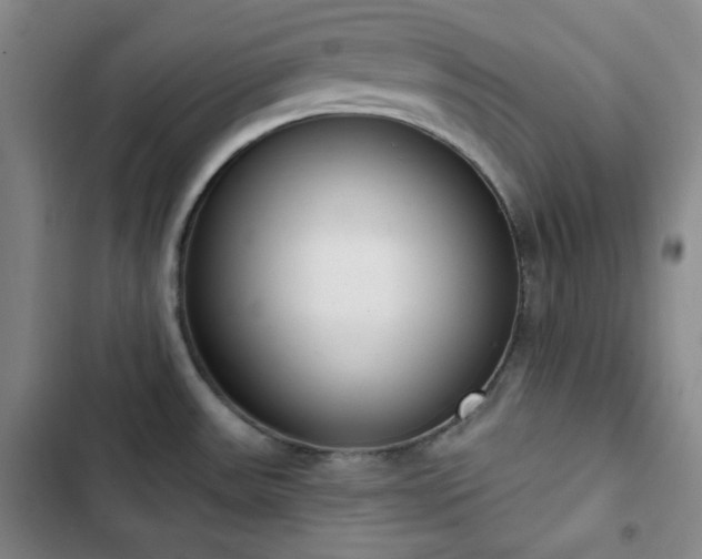 X0000102851531200808251150