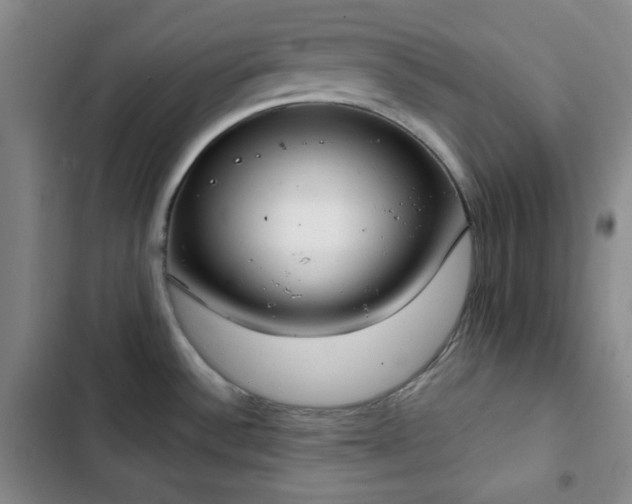 X0000102851532200808251150