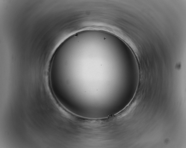 X0000102851533200808251150