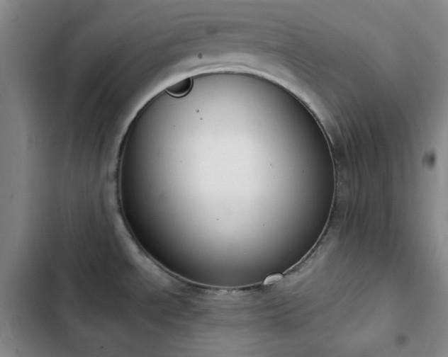 X0000102851534200808251150