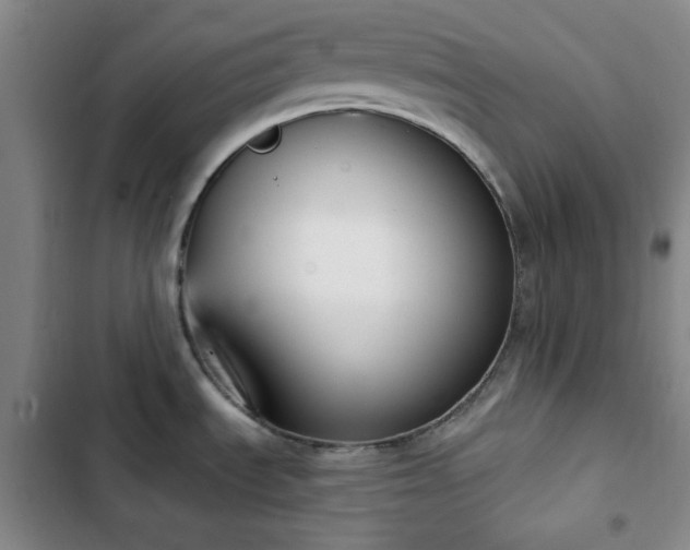 X0000102851535200808251150