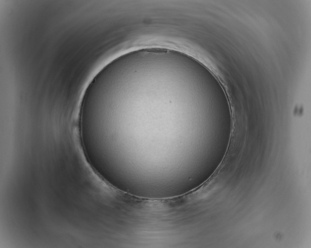 X0000102851536200808251150