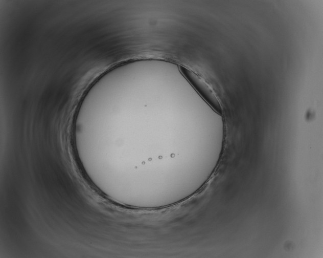 X0000102850001200809021412