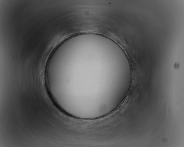 X0000102850002200809021412